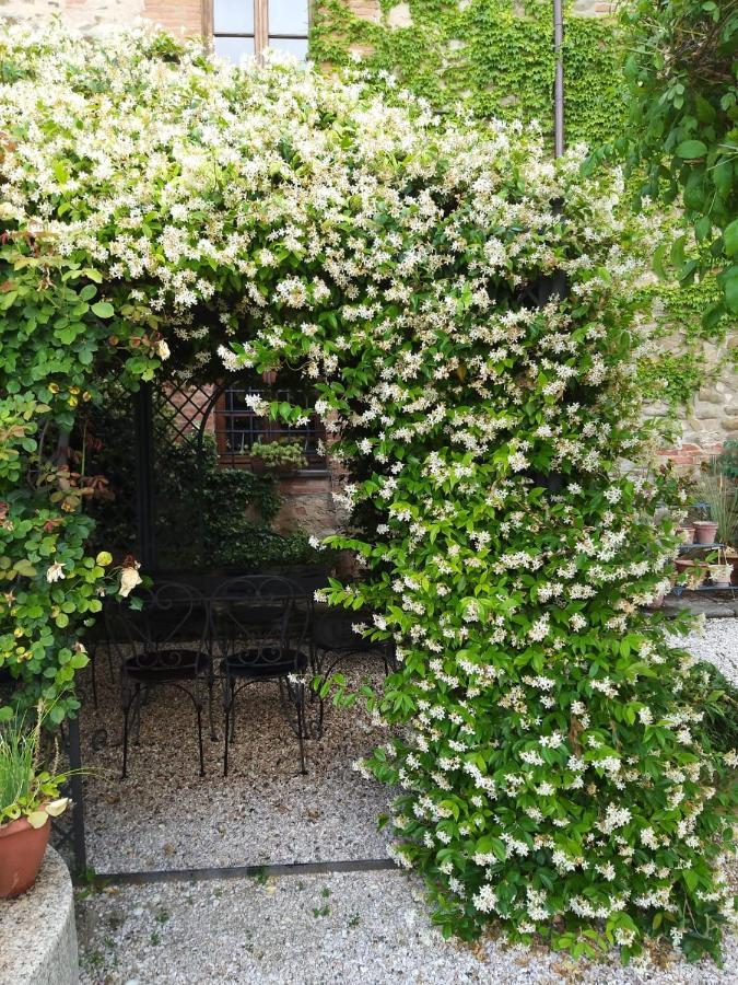 Relais Mastro Cinghiale Bed & Breakfast Paciano Exterior photo