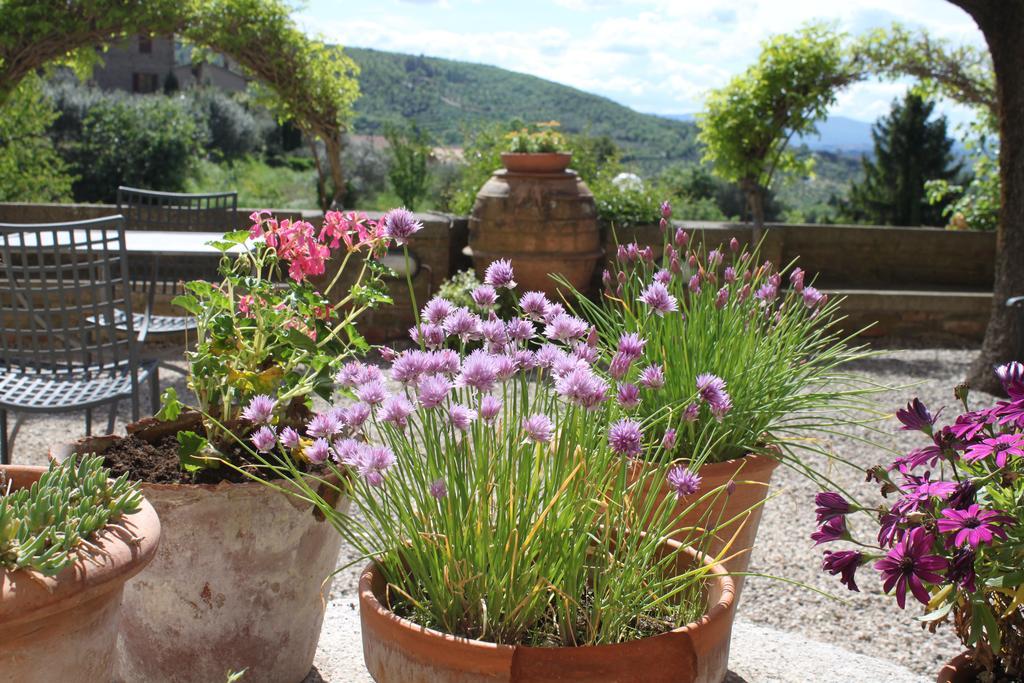 Relais Mastro Cinghiale Bed & Breakfast Paciano Exterior photo
