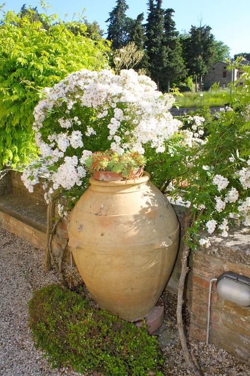Relais Mastro Cinghiale Bed & Breakfast Paciano Exterior photo