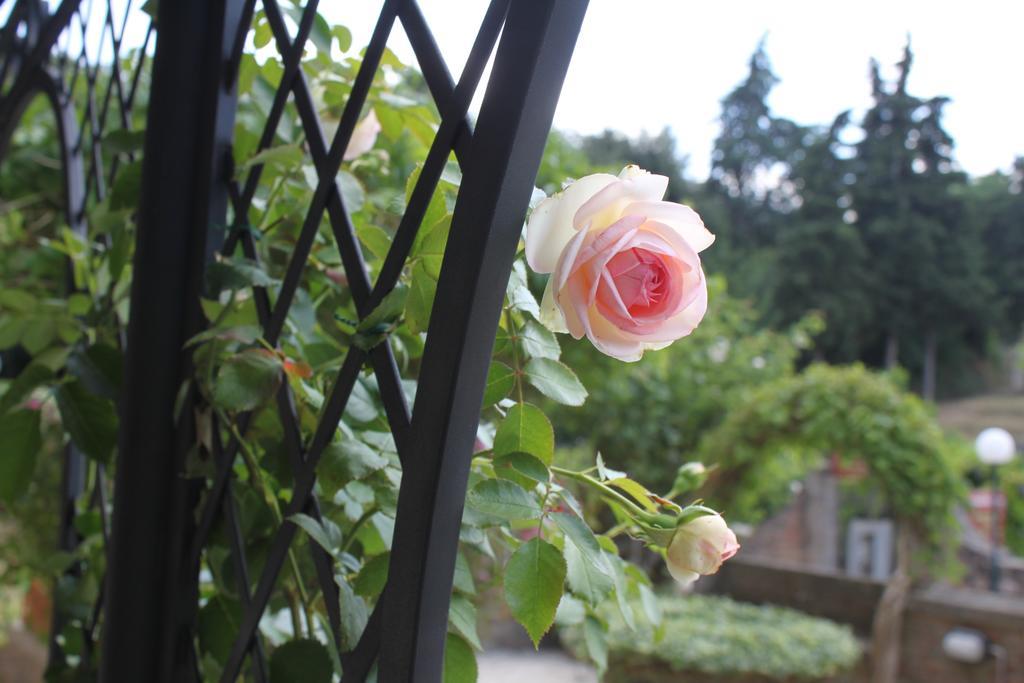 Relais Mastro Cinghiale Bed & Breakfast Paciano Exterior photo